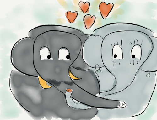 Visitiamo le 4 stanze del cuore: amore, compassione, gioia ed equanimità